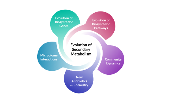 Pinwheel with 5 petals. Center is Evolution of Secondary Metabolism. Petals are Evolution of Biosynthetic Genes, Evolution of Biosynthetic Pathways, Community Dynamics, New Antibiotics & Chemistry, and Microbiome Interactions.